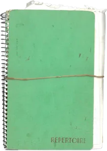 Un vieux carnet r&eacute;pertoire vert, ferm&eacute; par un &eacute;lastique
